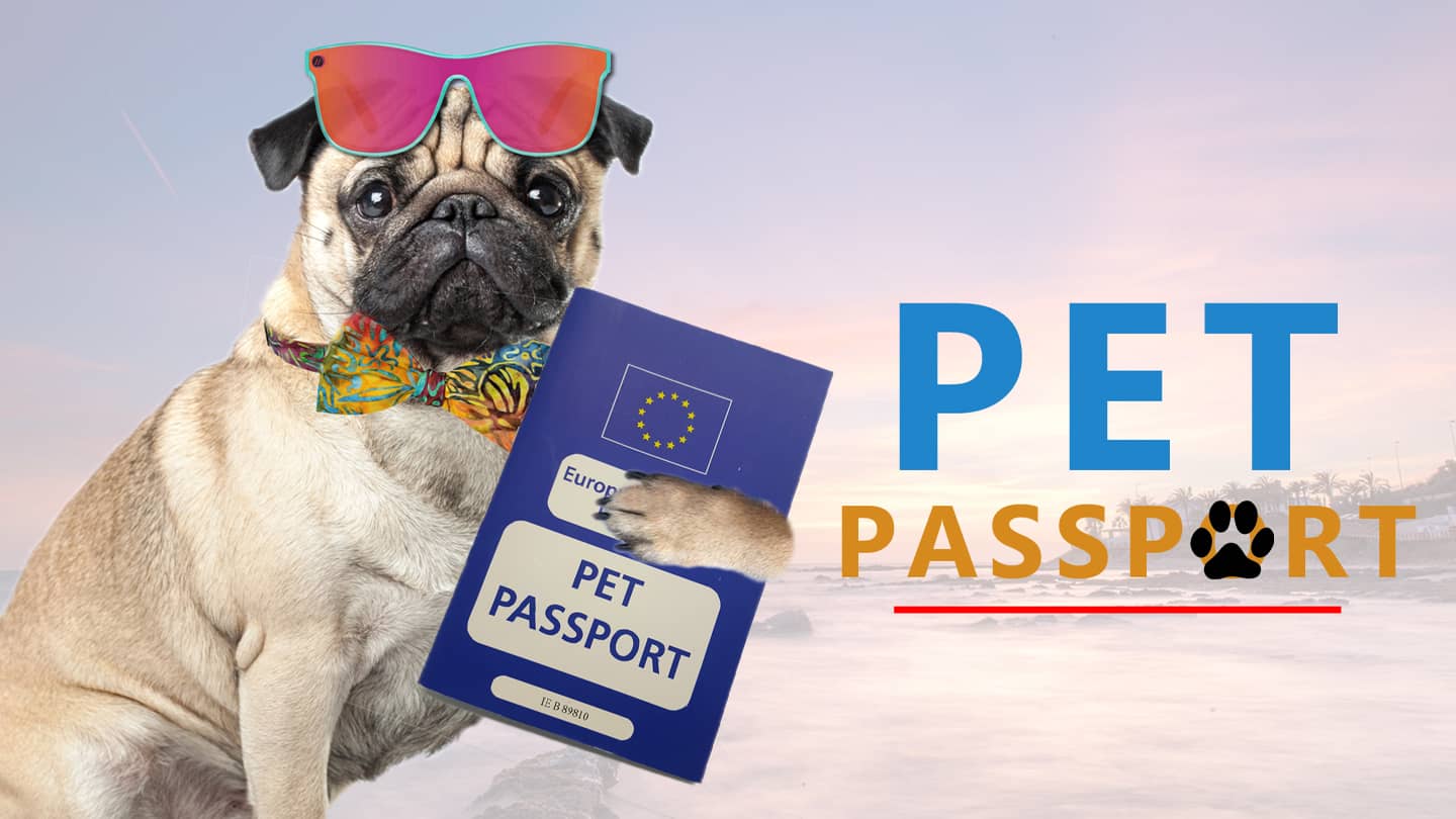 PET PASSPORT