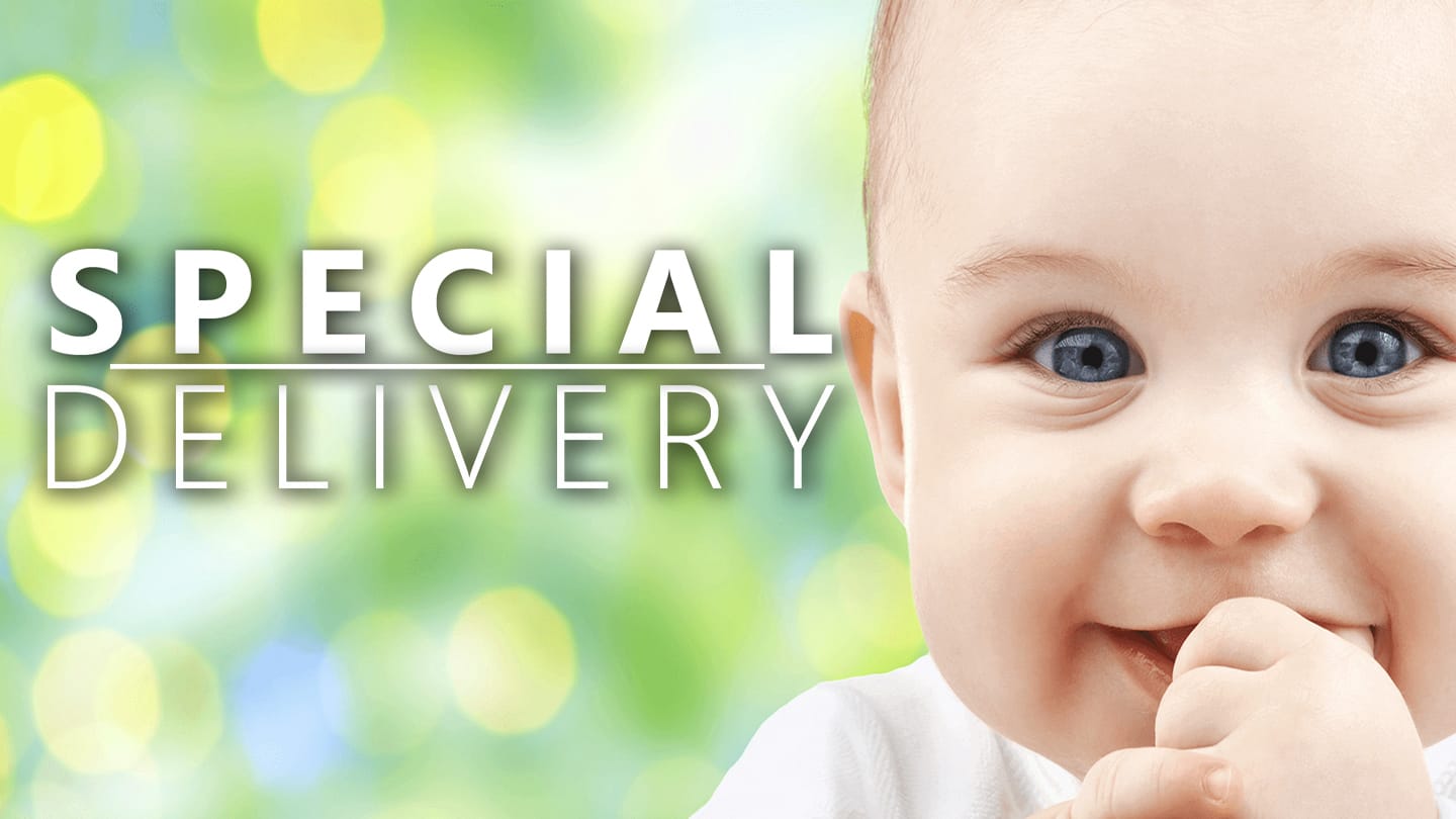 SPECIAL DELIVERY 2